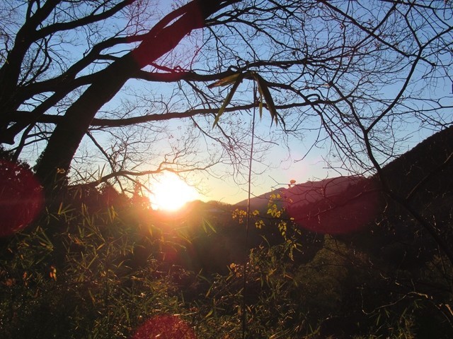 オオサワの頭(矢ノ音)方面に登っていくと日の出になった