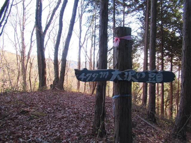 大沢の頭山頂の様子