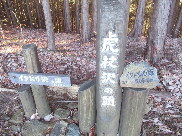 イタドリ沢の頭