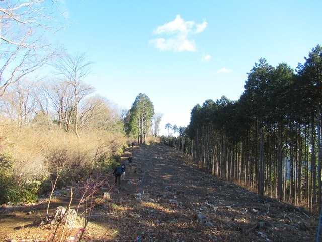景信山登山とルートの様子
