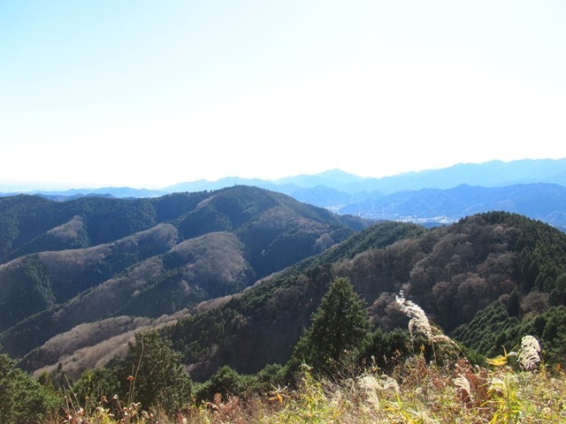 景信山から高尾山への稜線