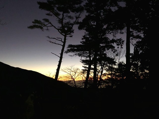 大倉尾根登山中の様子