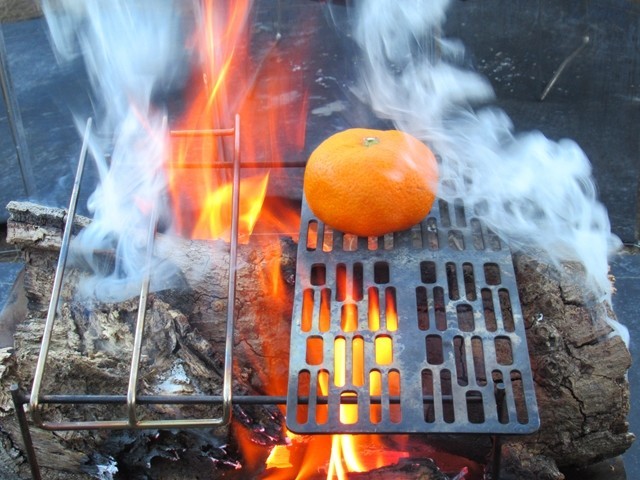 今回使用したみかんは皮ごと食べる事を考慮して無農薬品