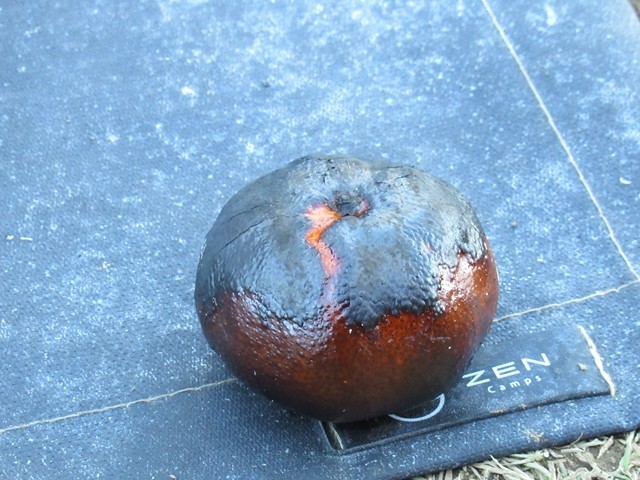 炭の塊のような焼きみかん