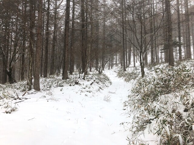 入笠山の山頂付近の積雪