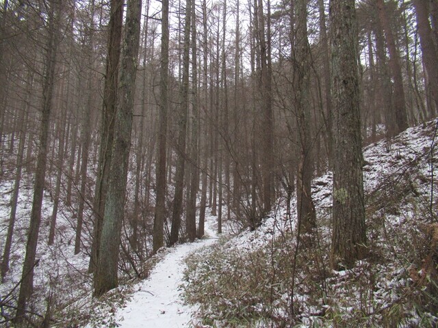 青柳駅からの登山ルートはノートレース