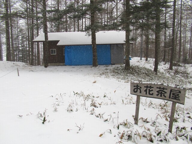 入笠山のお花茶屋