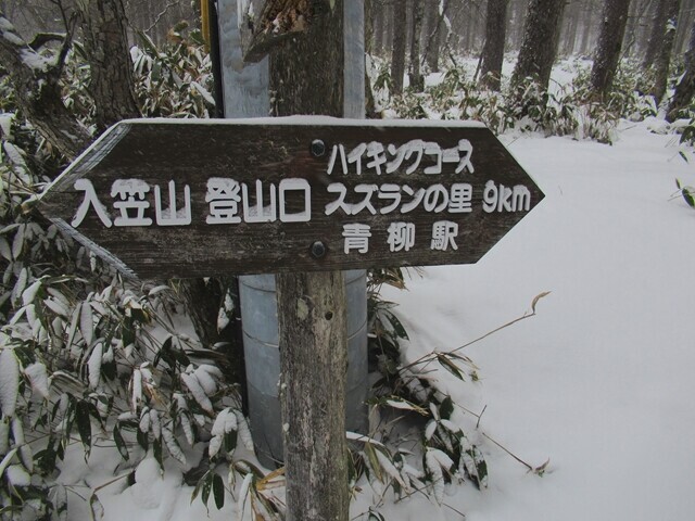 青柳駅からの入笠山登山ルートを攻略の様子