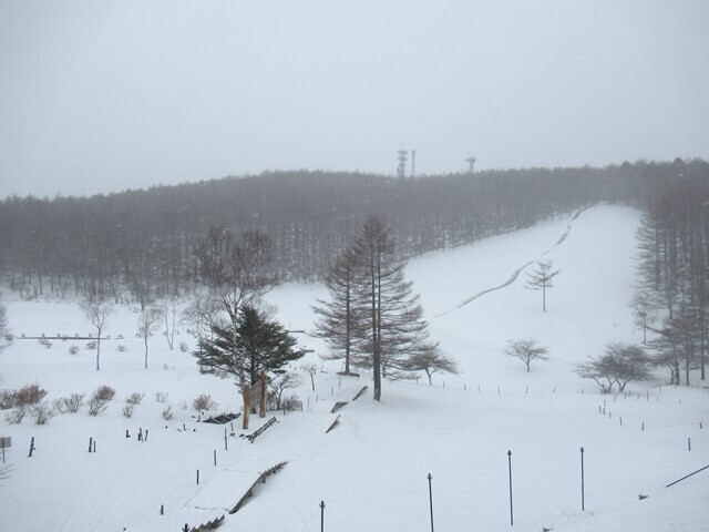 入笠湿原の木道と雪の様子