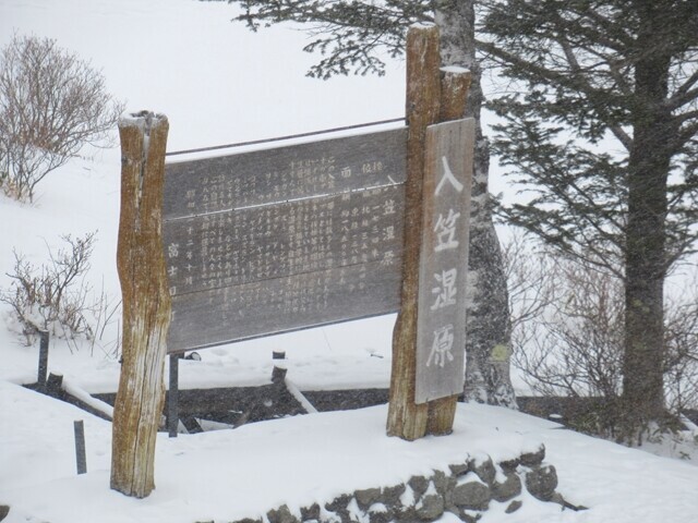 山彦荘から見た入笠湿原の様子