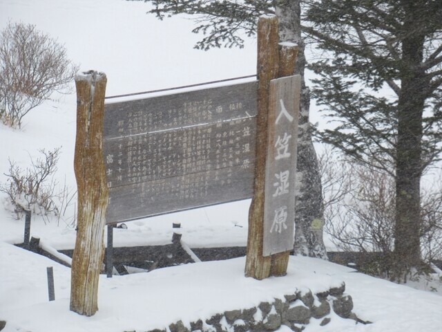 山彦荘から見た入笠湿原の様子