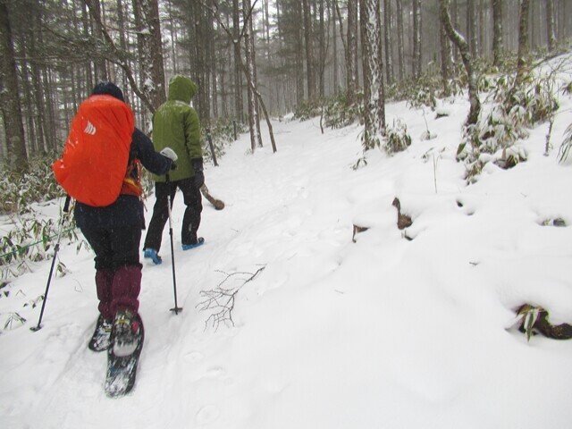 入笠山スノーシューでトレッキングの様子