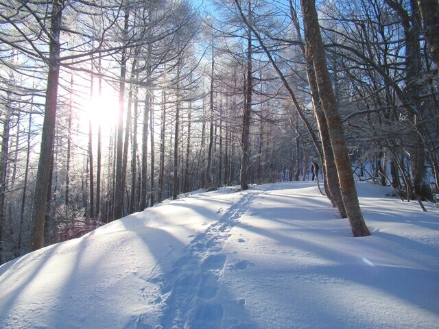 入笠山の登山道で会った登山者