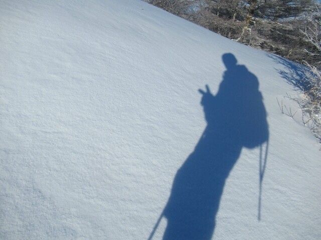 新雪をスノーシューで歩いている登山者