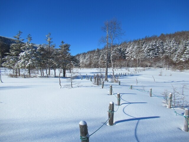 大阿原湿原の正規ルート