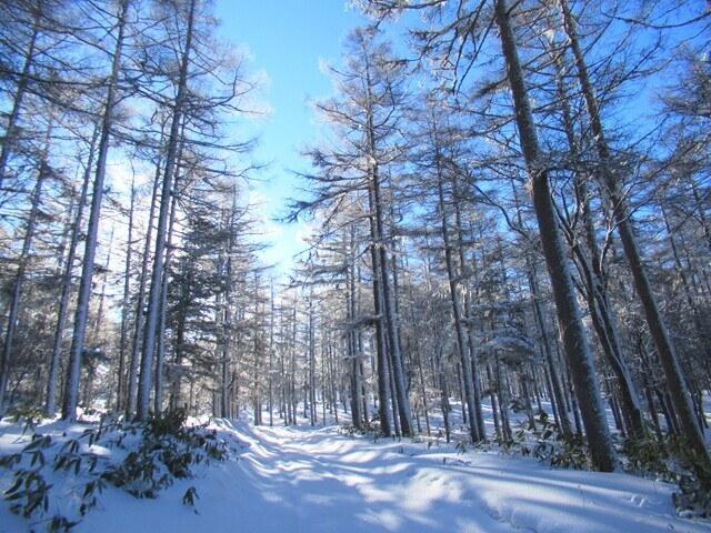 釜無山方面のルート積雪状況