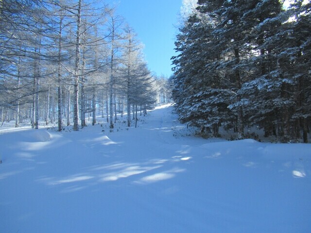 程久保山の登山ルート