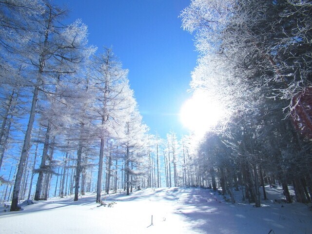 程久保山へのルートも霧氷が綺麗