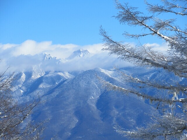 程久保山からの甲斐駒ヶ岳の景色