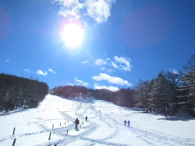 スノーシュー日和であった入笠山登山道
