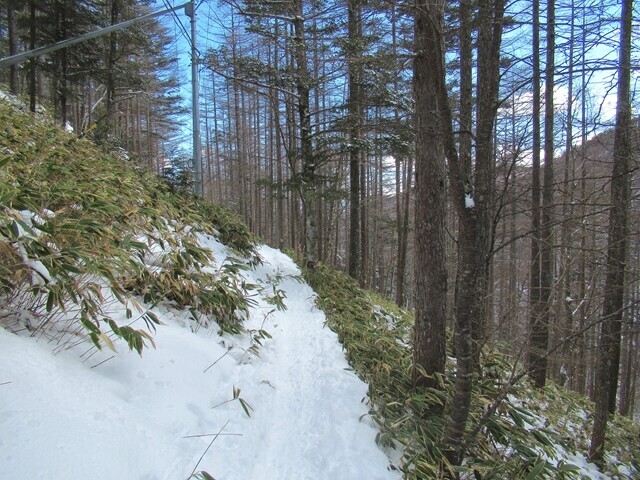 沢入登山ルートのコース状況