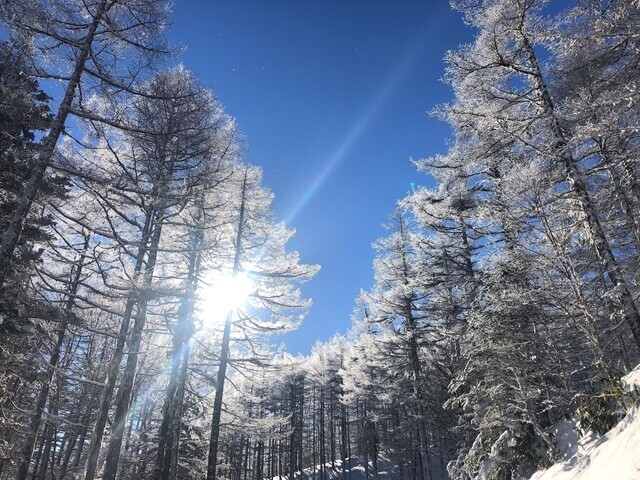 程久保山付近のルートの様子