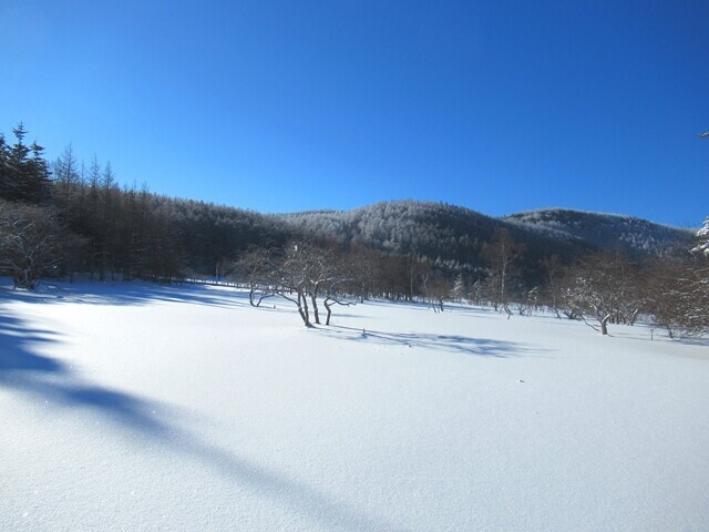 ハードシェルジャケットを着こんで雪登山中の様子