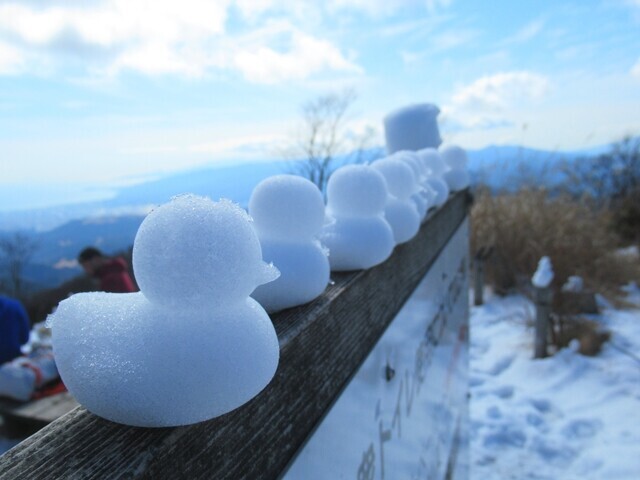 雪でアヒルを量産していた登山者