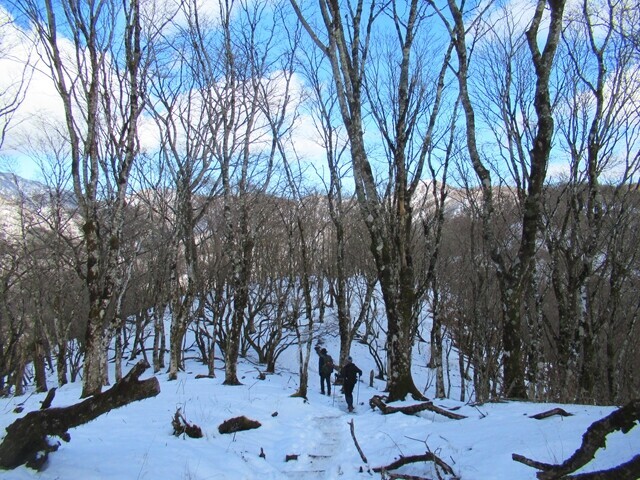 鍋割山から塔ノ岳登山