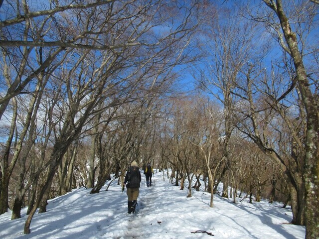 少し登れば塔ノ岳山頂