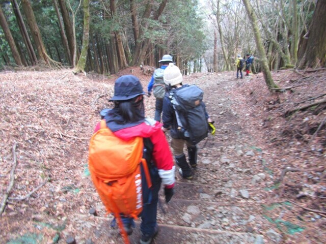 大倉尾根を下山している登山者