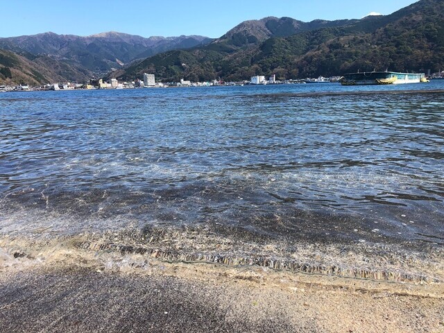 戸田港を眺めながら押し寄せる波を鑑賞している様子