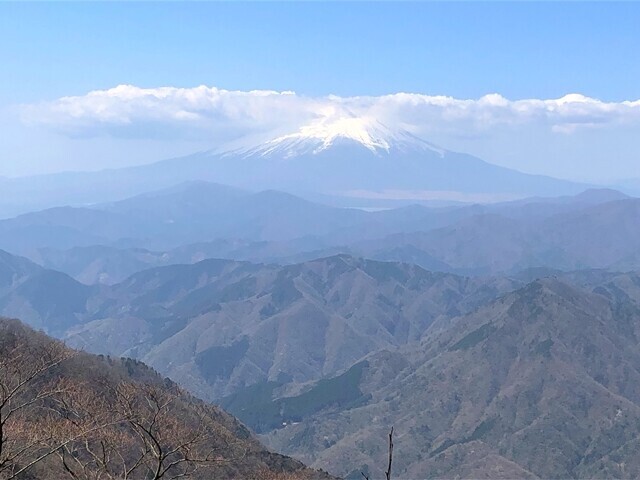 檜洞丸からの富士山の景色