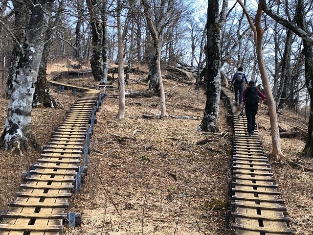 檜洞丸の山頂近くの木道