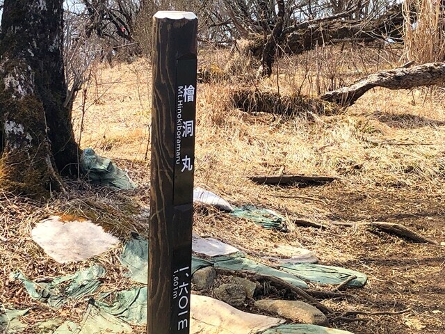 丹沢主稜縦走日帰り登山の一座目檜洞丸の山頂