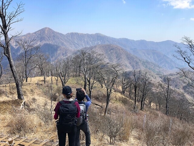 、丹沢主稜縦走コースキツイルート