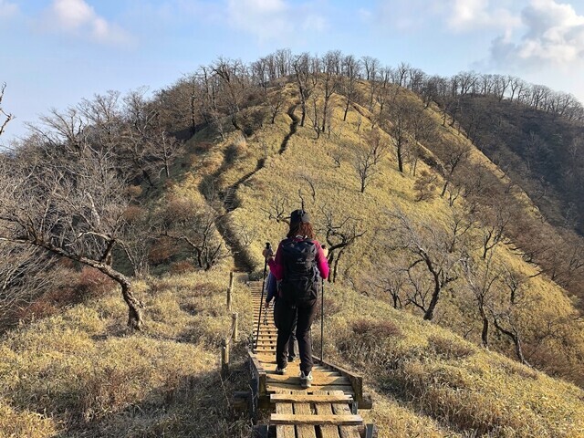 塔ノ岳～丹沢山の区間の混雑の様子