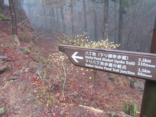 下り御幸歩道の入口