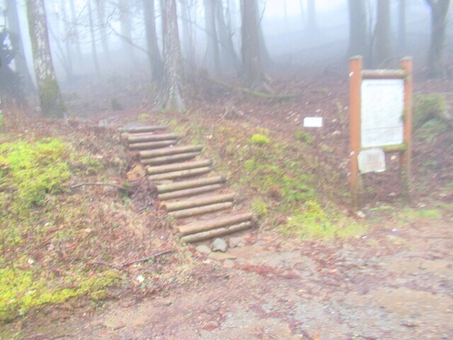 八丁池林道と交差地地点