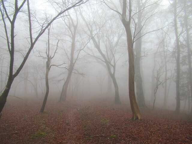 幻想的な登山ルート景色