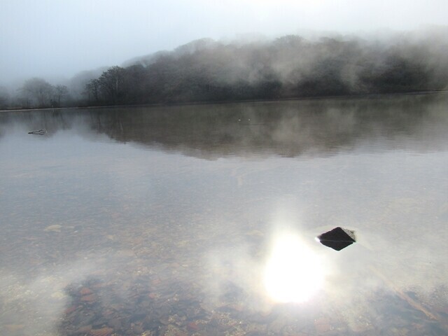 幻想的な八丁池風景