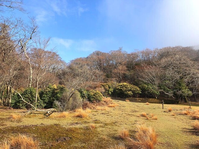 八丁池の湖畔のテント張るのに最適な平地