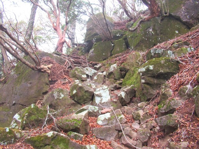 万三郎岳の手前の小岳登山ルートの登り