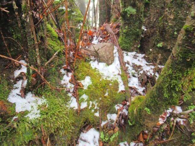 万三郎岳の山頂周辺の雪