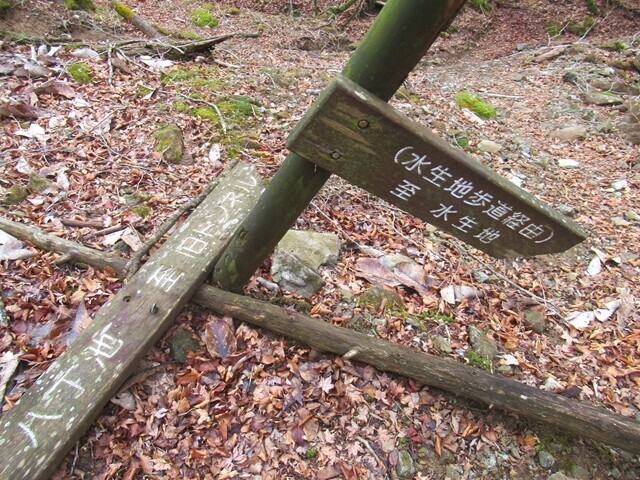 天城峠方面の分岐