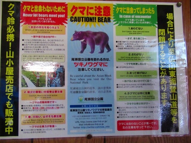 尾瀬ツキノワグマの生息域と注意点