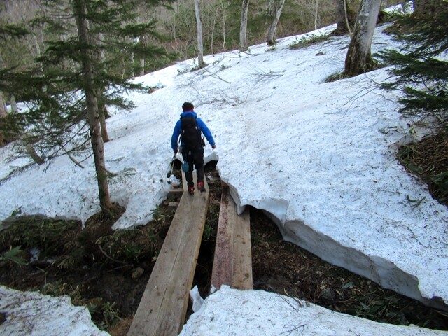 残雪期の尾瀬景色