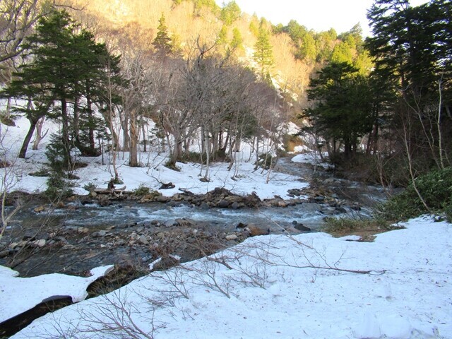 尾瀬の川沿いルートの様子