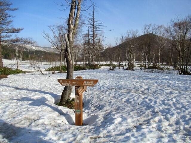 至仏山荘から尾瀬ヶ原ハイキングのスタートの様子