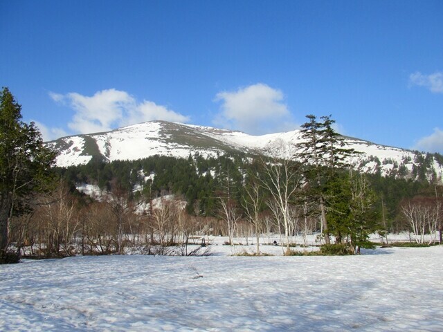 至仏山荘付近から見る残雪の至仏山